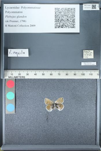 Media type: image;   Entomology 154773